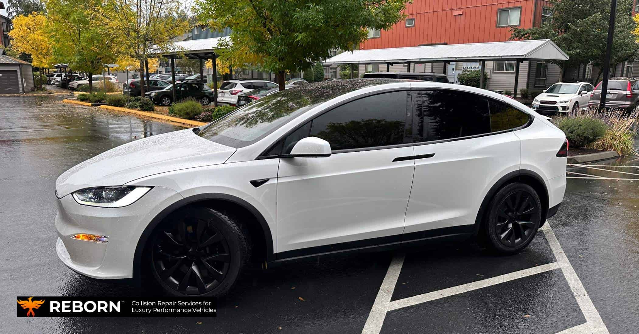 Are Tesla Model X Doors Reliable